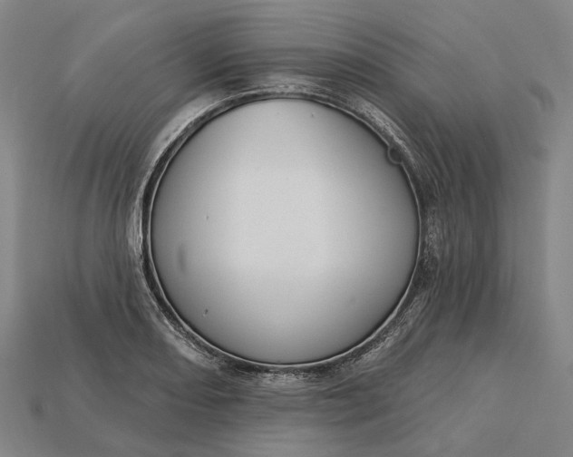 X0000115231082200911131639