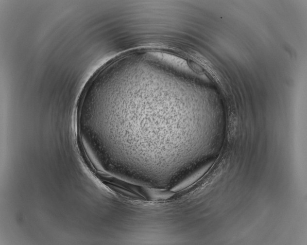 X0000115231084200911131639