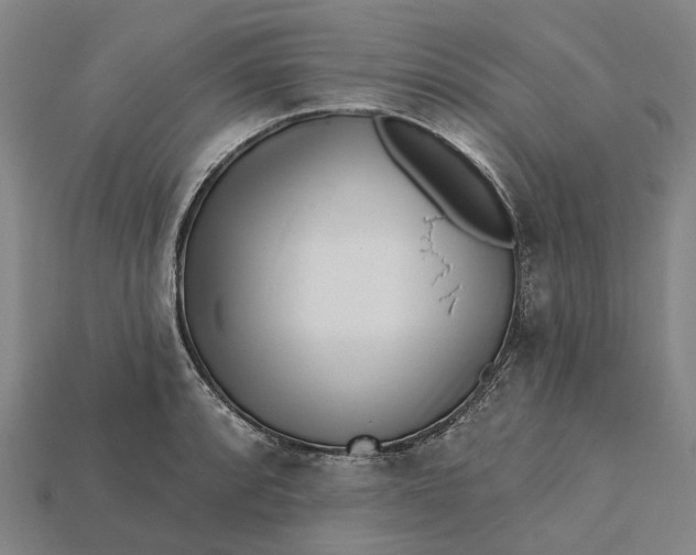 X0000115231088200911131638