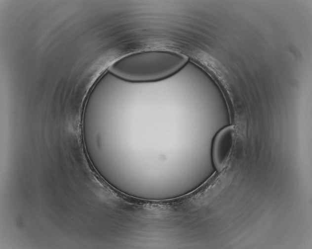 X0000115231089200911131638