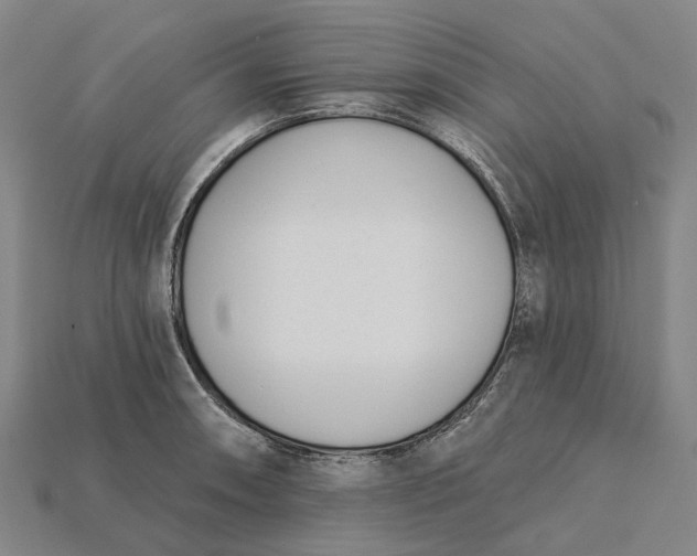 X0000115231090200911131638