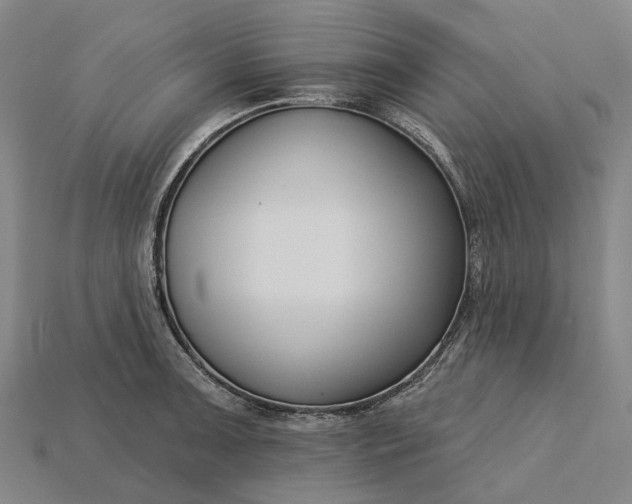 X0000115231091200911131638