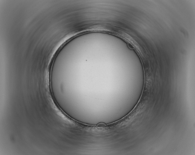 X0000115231092200911131638