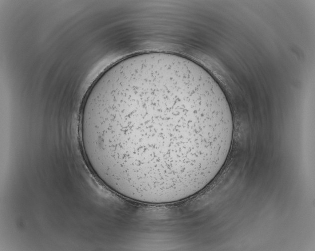 X0000115231094200911131638