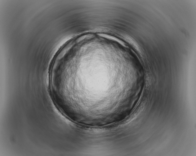 X0000115231095200911131638