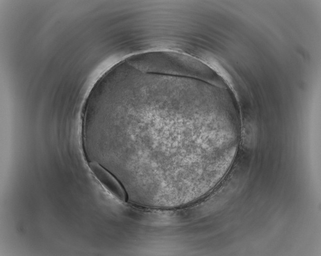 X0000115231096200911131638