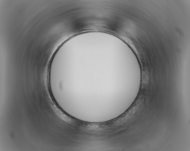 X0000115231098200911131638