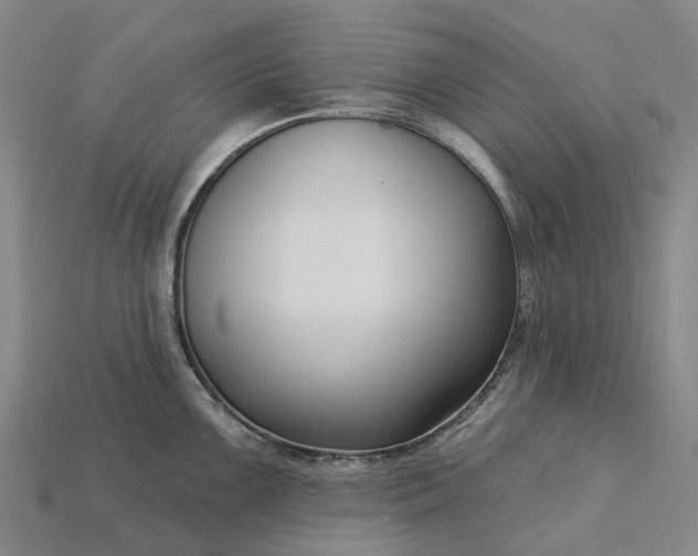 X0000115231099200911131638