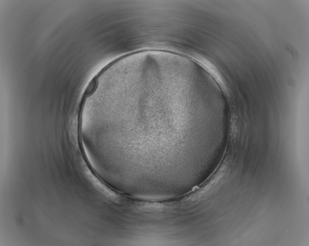 X0000115231100200911131638