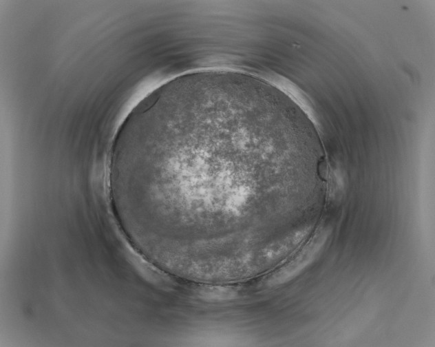 X0000115231101200911131638