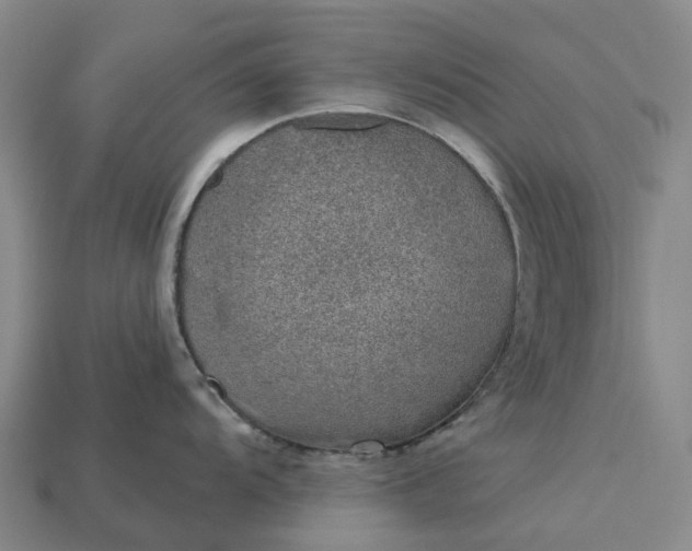 X0000115231104200911131638