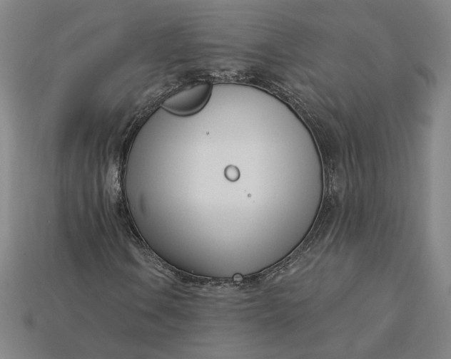 X0000115231106200911131638