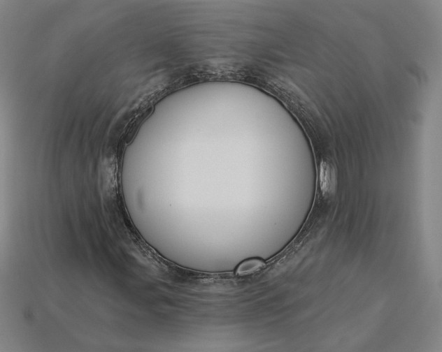 X0000115231107200911131638
