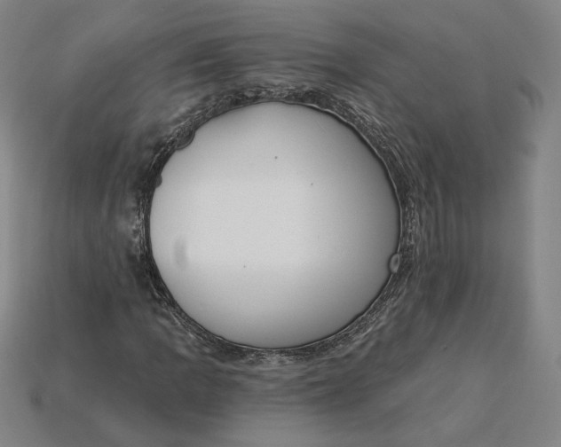X0000115231109200911131638