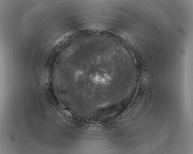 X0000115231110200911131638