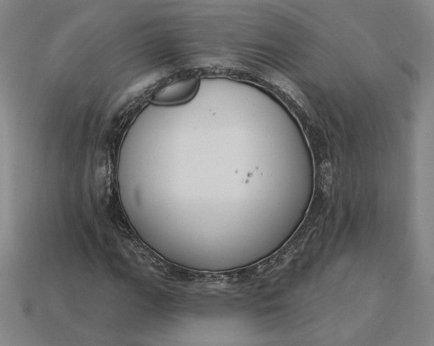 X0000115231111200911131638