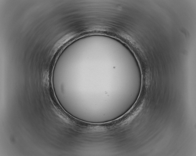 X0000115231113200911131638