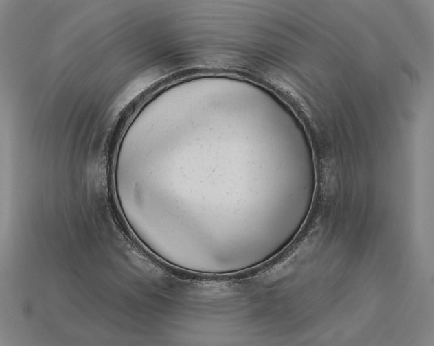 X0000115231114200911131638
