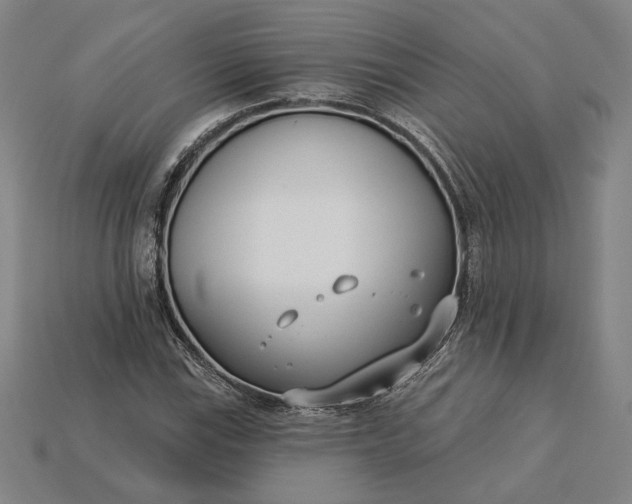 X0000115231115200911131638