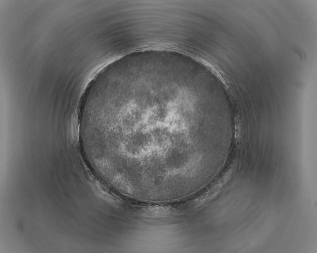 X0000115231117200911131638