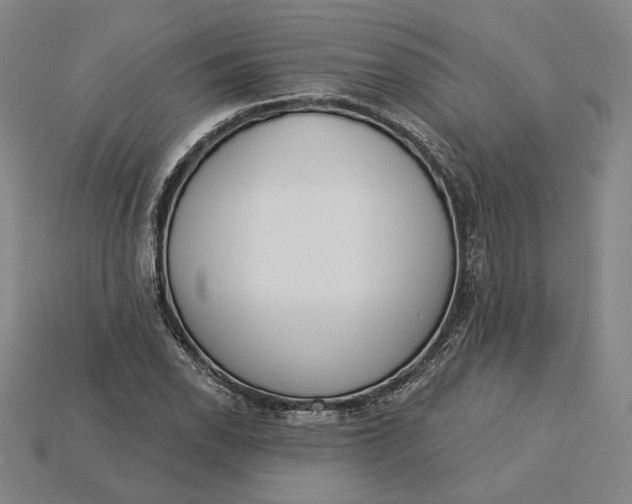 X0000115231118200911131638