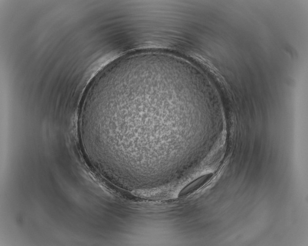 X0000115231121200911131638
