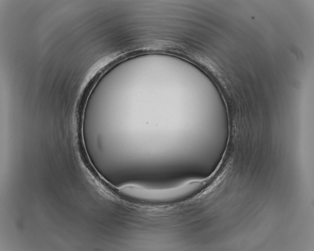 X0000115231122200911131638
