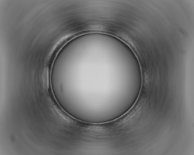 X0000115231123200911131638