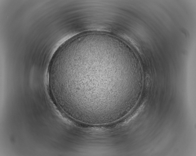 X0000115231125200911131638