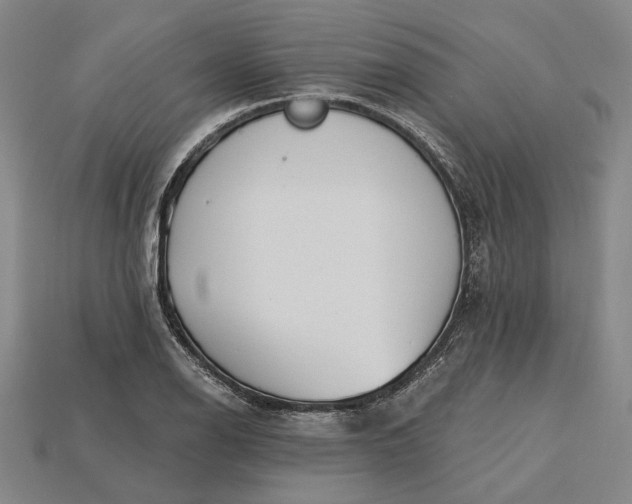 X0000115231126200911131638