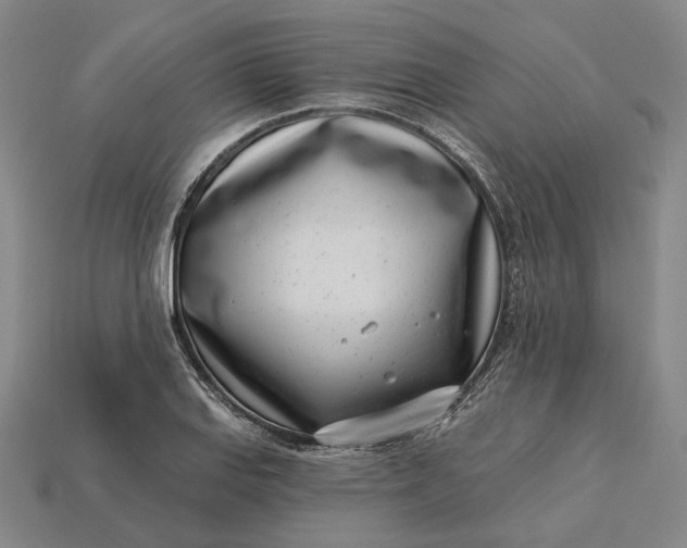 X0000115231127200911131638