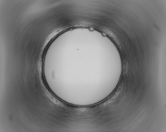 X0000115231130200911131638