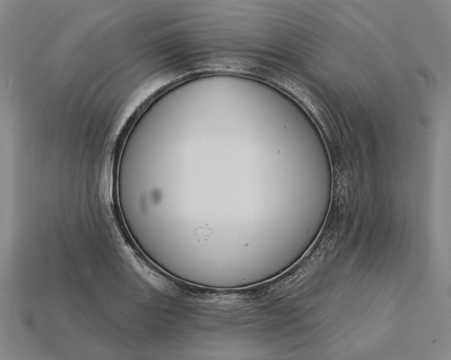 X0000115231131200911131638