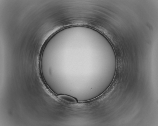 X0000115231134200911131638