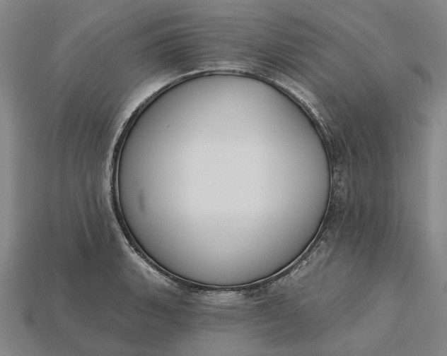 X0000115231135200911131638