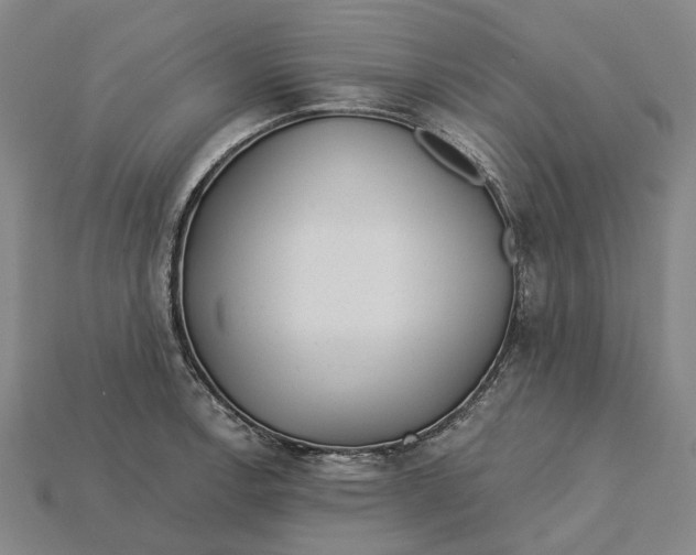X0000115231138200911131638