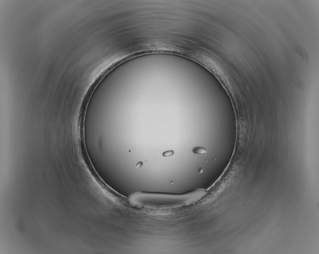 X0000115231141200911131638
