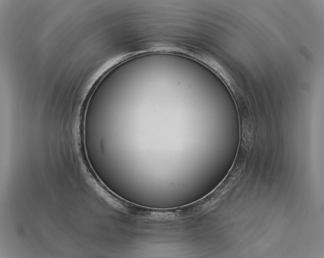 X0000115231142200911131638