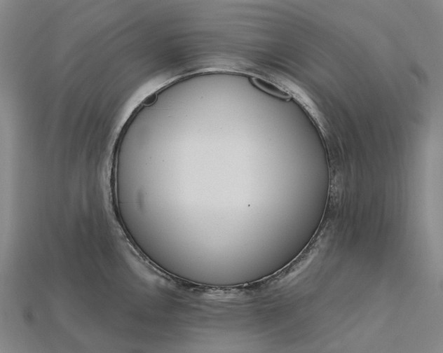 X0000115231146200911131638