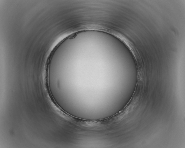 X0000115231147200911131638