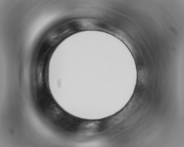 X0000115231150200911131638