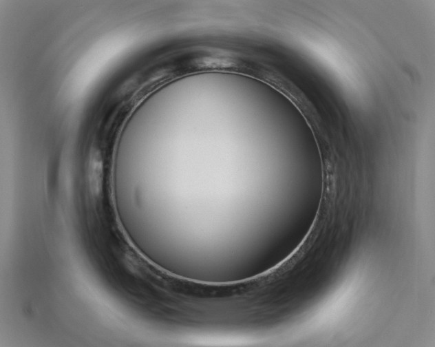 X0000115231151200911131638