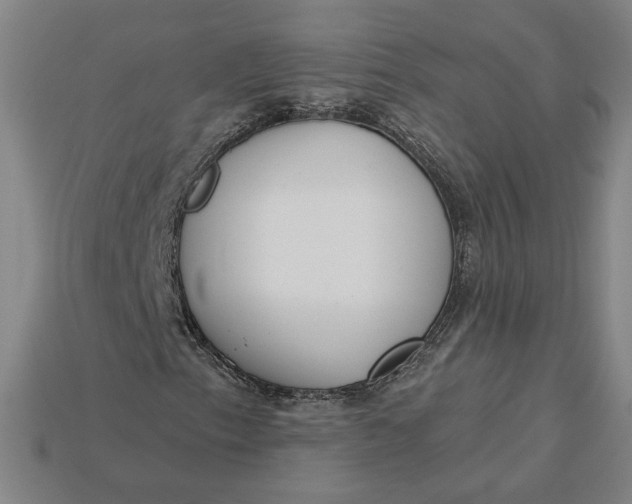 X0000115231153200911131638