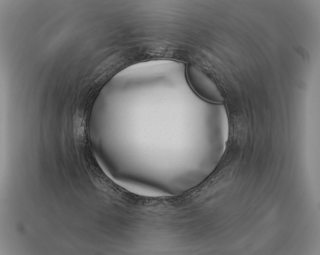 X0000115231154200911131638
