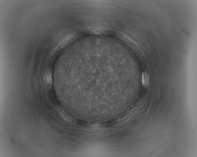 X0000115231155200911131638