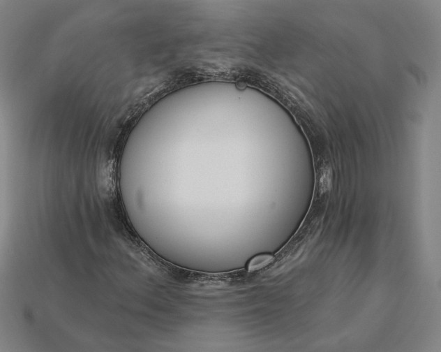 X0000115231156200911131638