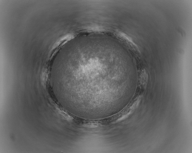 X0000115231157200911131638