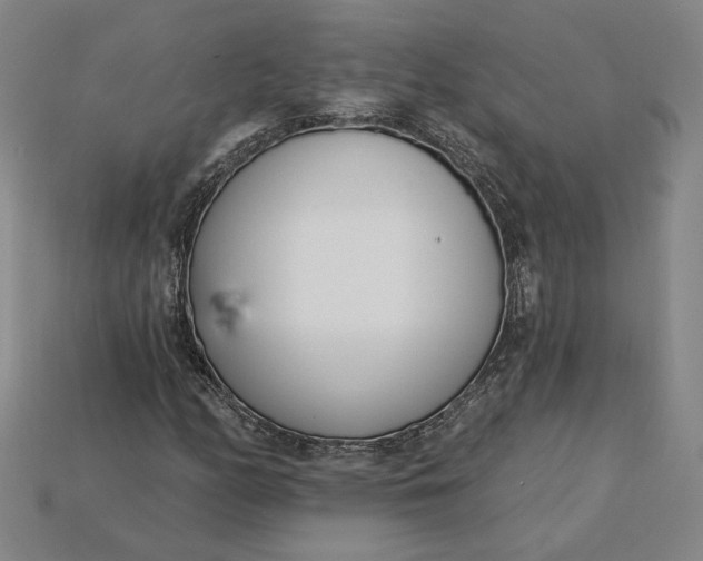 X0000115231158200911131638