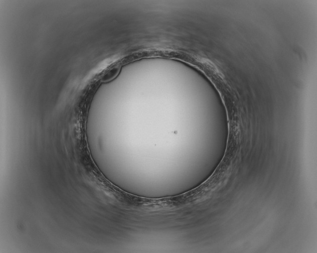 X0000115231159200911131638