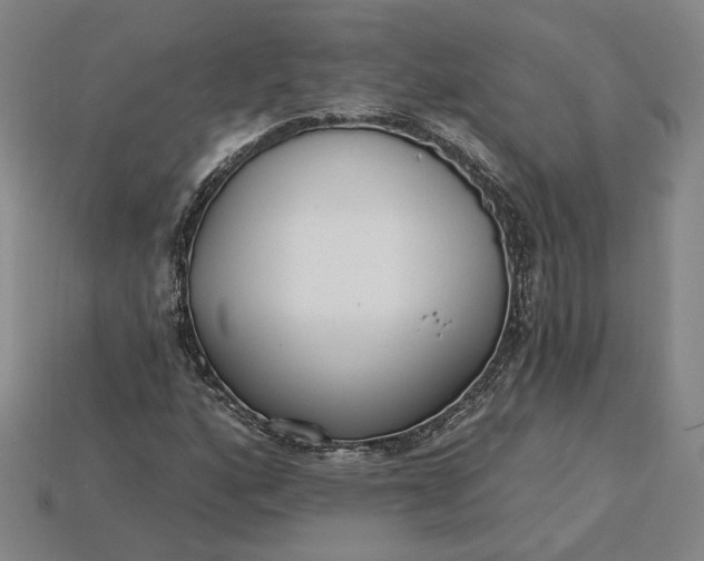 X0000115231160200911131638